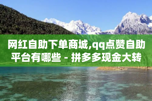 网红自助下单商城,qq点赞自助平台有哪些 - 拼多多现金大转盘刷助力网站 - 拼多多助力程序-第1张图片-靖非智能科技传媒