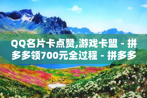 QQ名片卡点赞,游戏卡盟 - 拼多多领700元全过程 - 拼多多的双立人刀具是真是假-第1张图片-靖非智能科技传媒