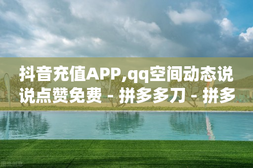 抖音充值APP,qq空间动态说说点赞免费 - 拼多多刀 - 拼多多24小时助力网站-第1张图片-靖非智能科技传媒