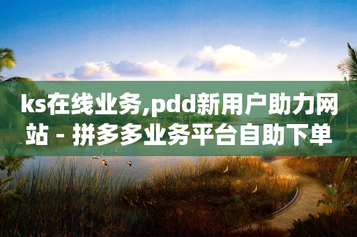 ks在线业务,pdd新用户助力网站 - 拼多多业务平台自助下单 - pdd买刀助力-第1张图片-靖非智能科技传媒