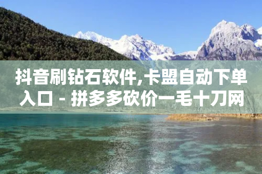 抖音刷钻石软件,卡盟自动下单入口 - 拼多多砍价一毛十刀网站靠谱吗 - 网红云商城自助下单软件-第1张图片-靖非智能科技传媒