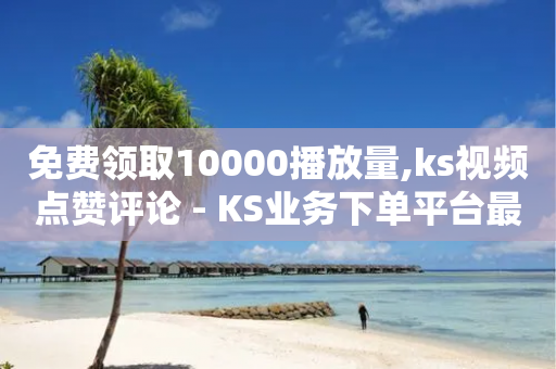 免费领取10000播放量,ks视频点赞评论 - KS业务下单平台最新微信支付 - KS低价业务下单平台