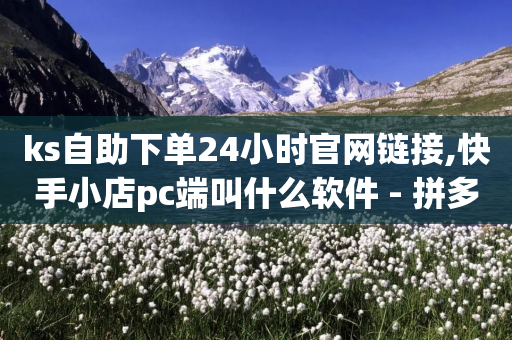 ks自助下单24小时官网链接,快手小店pc端叫什么软件 - 拼多多刀 - 拼多多上货助手app手机版-第1张图片-靖非智能科技传媒