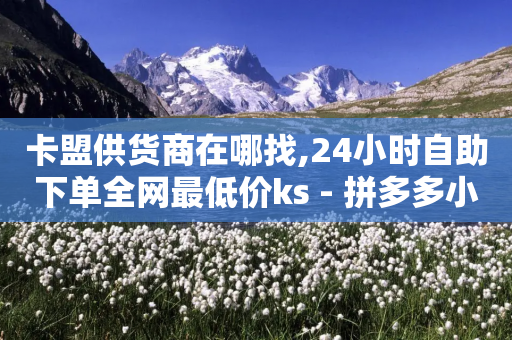 卡盟供货商在哪找,24小时自助下单全网最低价ks - 拼多多小号自助购买平台 - 拼多多红包助力软件-第1张图片-靖非智能科技传媒