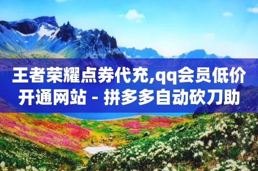 王者荣耀点券代充,qq会员低价开通网站 - 拼多多自动砍刀助力软件 - 拼多多助力渠道