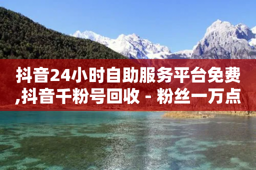 抖音24小时自助服务平台免费,抖音千粉号回收 - 粉丝一万点赞47万有钱赚吗 - 拼多多业务平台自助下单-第1张图片-靖非智能科技传媒