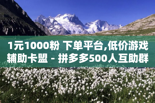 1元1000粉 下单平台,低价游戏辅助卡盟 - 拼多多500人互助群 - 拼多多跨境客服电话-第1张图片-靖非智能科技传媒