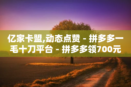 亿家卡盟,动态点赞 - 拼多多一毛十刀平台 - 拼多多领700元需要多少人