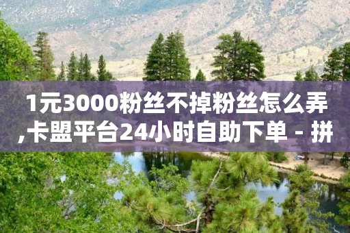 1元3000粉丝不掉粉丝怎么弄,卡盟平台24小时自助下单 - 拼多多0.01积分后面是什么 - 拼多多提现可以刷吗