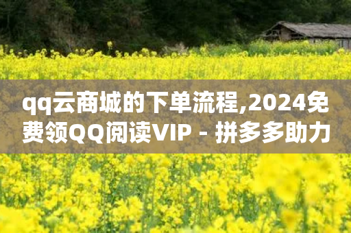 qq云商城的下单流程,2024免费领QQ阅读VIP - 拼多多助力泄露信息真的假的 - pdd砍一刀-第1张图片-靖非智能科技传媒