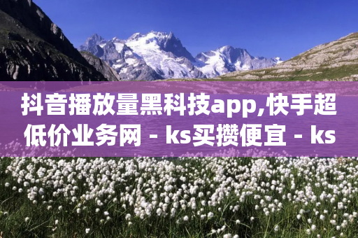 抖音播放量黑科技app,快手超低价业务网 - ks买攒便宜 - ks业务粉丝-第1张图片-靖非智能科技传媒