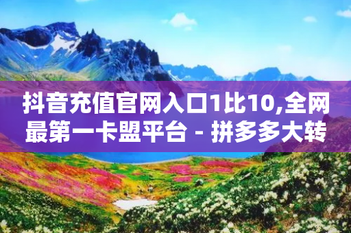 抖音充值官网入口1比10,全网最第一卡盟平台 - 拼多多大转盘助力软件 - 拼多多转盘幸运值