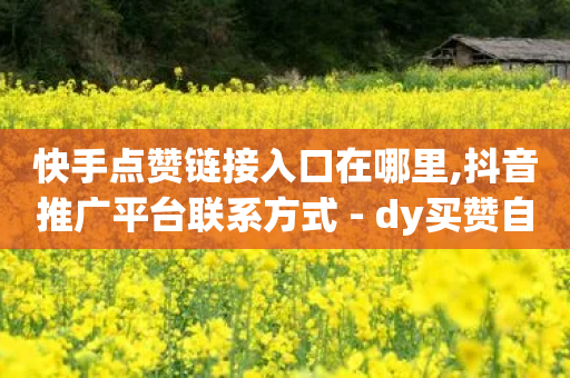 快手点赞链接入口在哪里,抖音推广平台联系方式 - dy买赞自助下单 - 每天免费领取100赞-第1张图片-靖非智能科技传媒