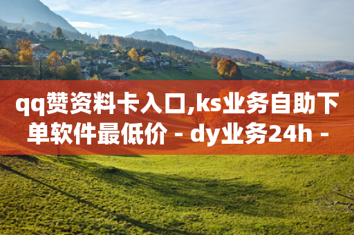 qq赞资料卡入口,ks业务自助下单软件最低价 - dy业务24h - 抖音24小时自助免费