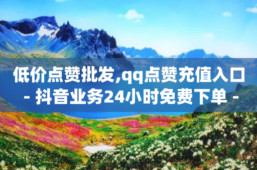 低价点赞批发,qq点赞充值入口 - 抖音业务24小时免费下单 - 抖音低价网