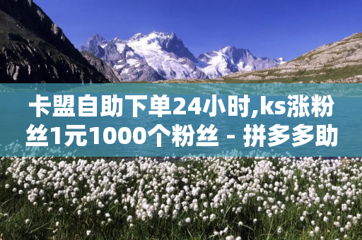 卡盟自助下单24小时,ks涨粉丝1元1000个粉丝 - 拼多多助力无限刷人脚本 - 拼多多极速起量一阶段-第1张图片-靖非智能科技传媒