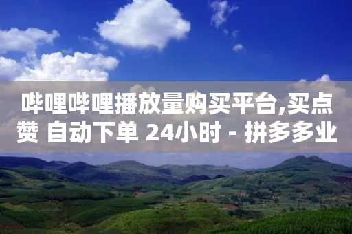 哔哩哔哩播放量购买平台,买点赞 自动下单 24小时 - 拼多多业务助力平台 - 拼多多买刀能成功吗