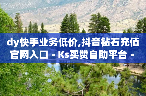 dy快手业务低价,抖音钻石充值官网入口 - Ks买赞自助平台 - qq签名赞下单