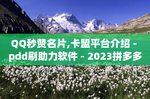 QQ秒赞名片,卡盟平台介绍 - pdd刷助力软件 - 2023拼多多电商占有率-第1张图片-靖非智能科技传媒