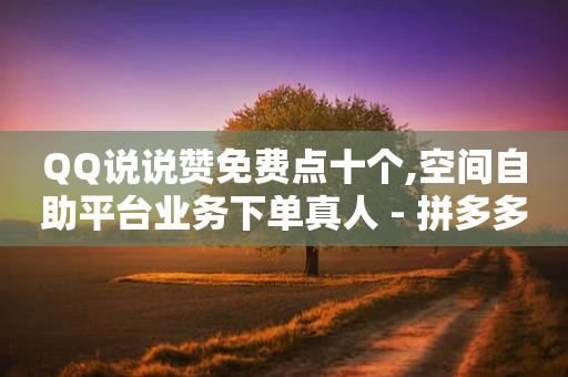 QQ说说赞免费点十个,空间自助平台业务下单真人 - 拼多多自动砍刀助力软件 - 521虚拟货源网-第1张图片-靖非智能科技传媒