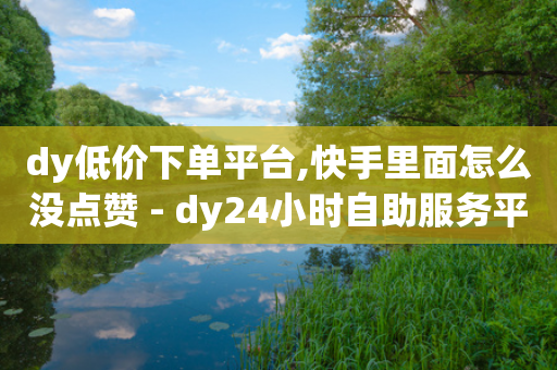 dy低价下单平台,快手里面怎么没点赞 - dy24小时自助服务平台 - ks业务免费下单平台-第1张图片-靖非智能科技传媒