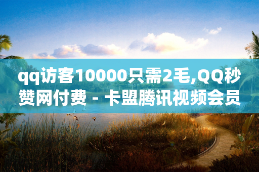 qq访客10000只需2毛,QQ秒赞网付费 - 卡盟腾讯视频会员 - qq音乐人粉丝 下单 全网最低-第1张图片-靖非智能科技传媒