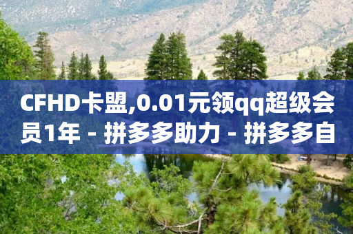 CFHD卡盟,0.01元领qq超级会员1年 - 拼多多助力 - 拼多多自助助力-第1张图片-靖非智能科技传媒