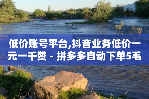 低价账号平台,抖音业务低价一元一千赞 - 拼多多自动下单5毛脚本下载 - 平多多刀