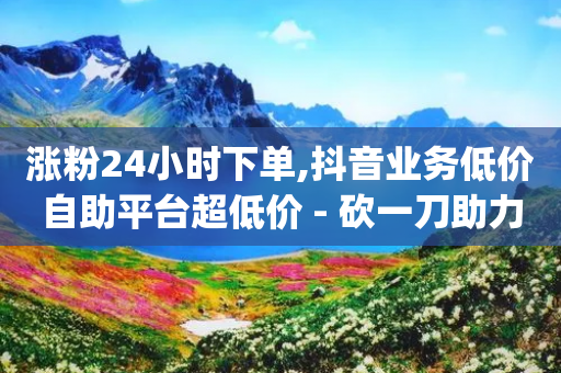 涨粉24小时下单,抖音业务低价自助平台超低价 - 砍一刀助力平台app - 差11个元宝还要多少个人