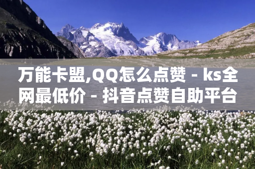 万能卡盟,QQ怎么点赞 - ks全网最低价 - 抖音点赞自助平台24小时服务-第1张图片-靖非智能科技传媒