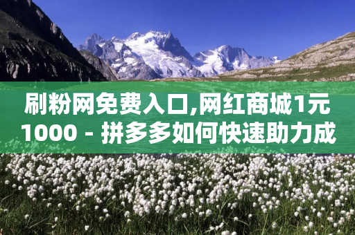 刷粉网免费入口,网红商城1元1000 - 拼多多如何快速助力成功 - 拼多多接码大平台-第1张图片-靖非智能科技传媒