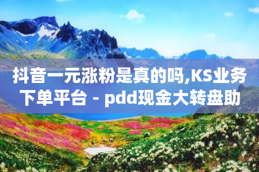 抖音一元涨粉是真的吗,KS业务下单平台 - pdd现金大转盘助力网站 - 好的平台的拼多多的号码