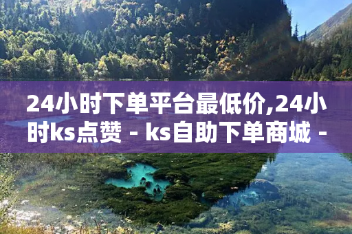 24小时下单平台最低价,24小时ks点赞 - ks自助下单商城 - ks0.01刷100-第1张图片-靖非智能科技传媒