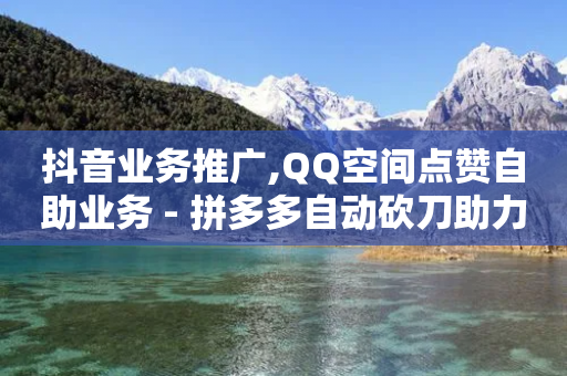 抖音业务推广,QQ空间点赞自助业务 - 拼多多自动砍刀助力软件 - 自动下单平台全网最低价-第1张图片-靖非智能科技传媒