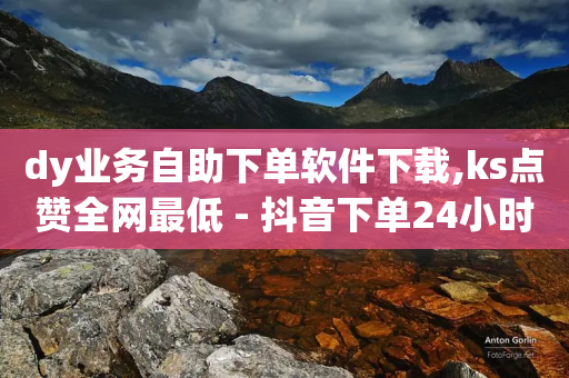 dy业务自助下单软件下载,ks点赞全网最低 - 抖音下单24小时最低价 - 快手一毛钱-第1张图片-靖非智能科技传媒