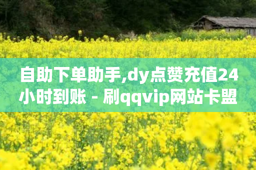 自助下单助手,dy点赞充值24小时到账 - 刷qqvip网站卡盟 - 抖音充值便宜-第1张图片-靖非智能科技传媒