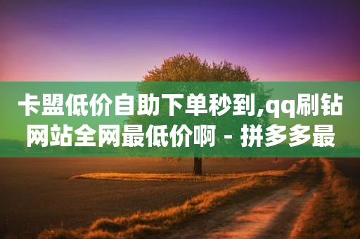 卡盟低价自助下单秒到,qq刷钻网站全网最低价啊 - 拼多多最后0.01碎片 - 拼多多专业助力低价-第1张图片-靖非智能科技传媒