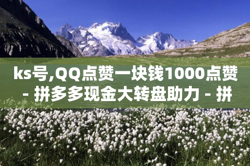 ks号,QQ点赞一块钱1000点赞 - 拼多多现金大转盘助力 - 拼多多砍价积分-第1张图片-靖非智能科技传媒