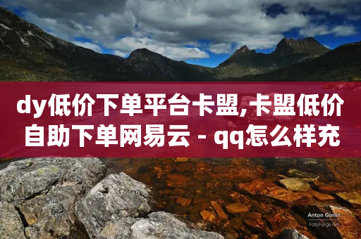 dy低价下单平台卡盟,卡盟低价自助下单网易云 - qq怎么样充赞 - 全网辅助最低货源网-第1张图片-靖非智能科技传媒