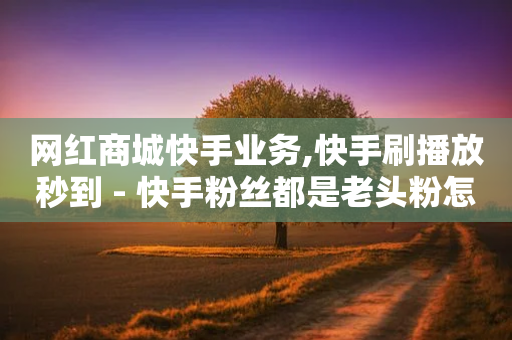 网红商城快手业务,快手刷播放秒到 - 快手粉丝都是老头粉怎么办 - 低价说说赞自助下单-第1张图片-靖非智能科技传媒