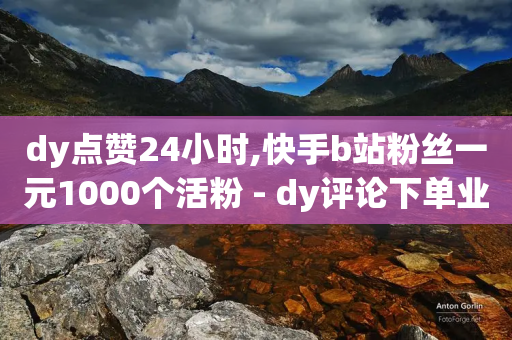 dy点赞24小时,快手b站粉丝一元1000个活粉 - dy评论下单业务 - 点赞qq资料卡平台