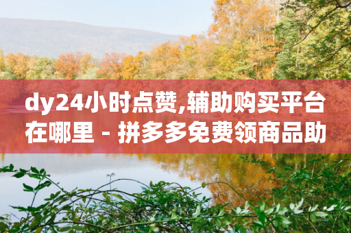 dy24小时点赞,辅助购买平台在哪里 - 拼多多免费领商品助力 - 正规第三方支付平台