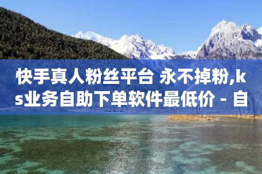 快手真人粉丝平台 永不掉粉,ks业务自助下单软件最低价 - 自助云商城24小时秒单 - qq空间6万访客-第1张图片-靖非智能科技传媒