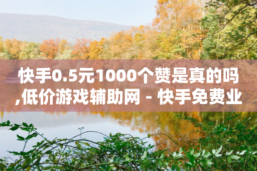 快手0.5元1000个赞是真的吗,低价游戏辅助网 - 快手免费业务全网最低 - 快手领浏览-第1张图片-靖非智能科技传媒