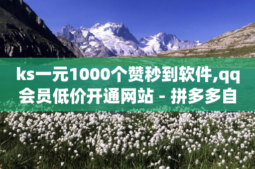 ks一元1000个赞秒到软件,qq会员低价开通网站 - 拼多多自动下单脚本 - 拼多多700差4元宝-第1张图片-靖非智能科技传媒