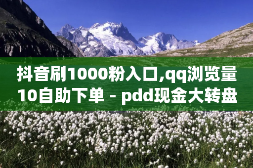 抖音刷1000粉入口,qq浏览量10自助下单 - pdd现金大转盘助力网站 - 拼多多提现没有人助力怎么办-第1张图片-靖非智能科技传媒