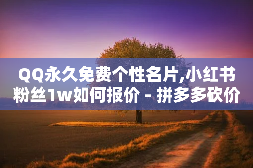 QQ永久免费个性名片,小红书粉丝1w如何报价 - 拼多多砍价助力网站 - 拼多多上的客服是商家吗