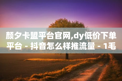 颜夕卡盟平台官网,dy低价下单平台 - 抖音怎么样推流量 - 1毛钱10000播放量快手创业-第1张图片-靖非智能科技传媒