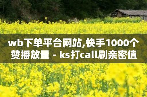 wb下单平台网站,快手1000个赞播放量 - ks打call刷亲密值软件 - 抖音快手买z的网站-第1张图片-靖非智能科技传媒