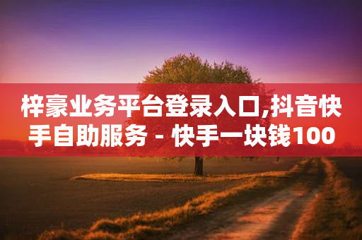 梓豪业务平台登录入口,抖音快手自助服务 - 快手一块钱100个微信支付 - 网红商城快手业务-第1张图片-靖非智能科技传媒